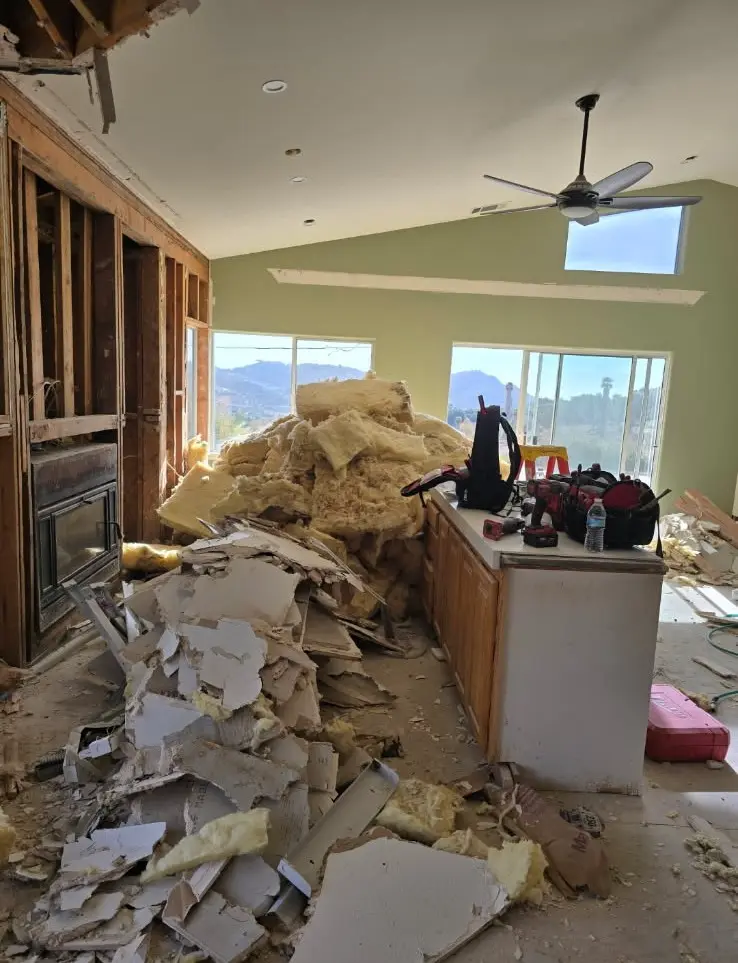 Demolition Cleanup